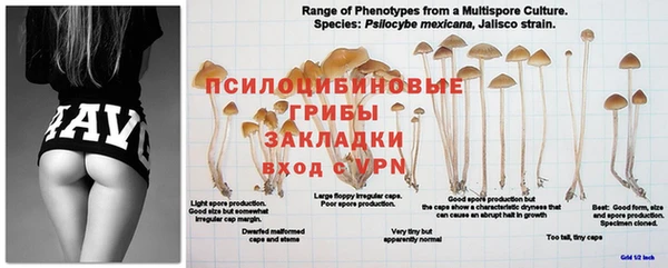 дживик Абдулино