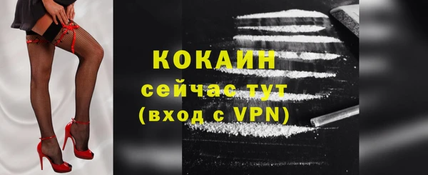 винт Абаза