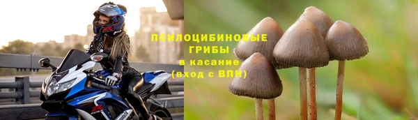 винт Абаза
