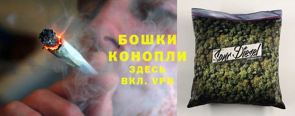 винт Абаза